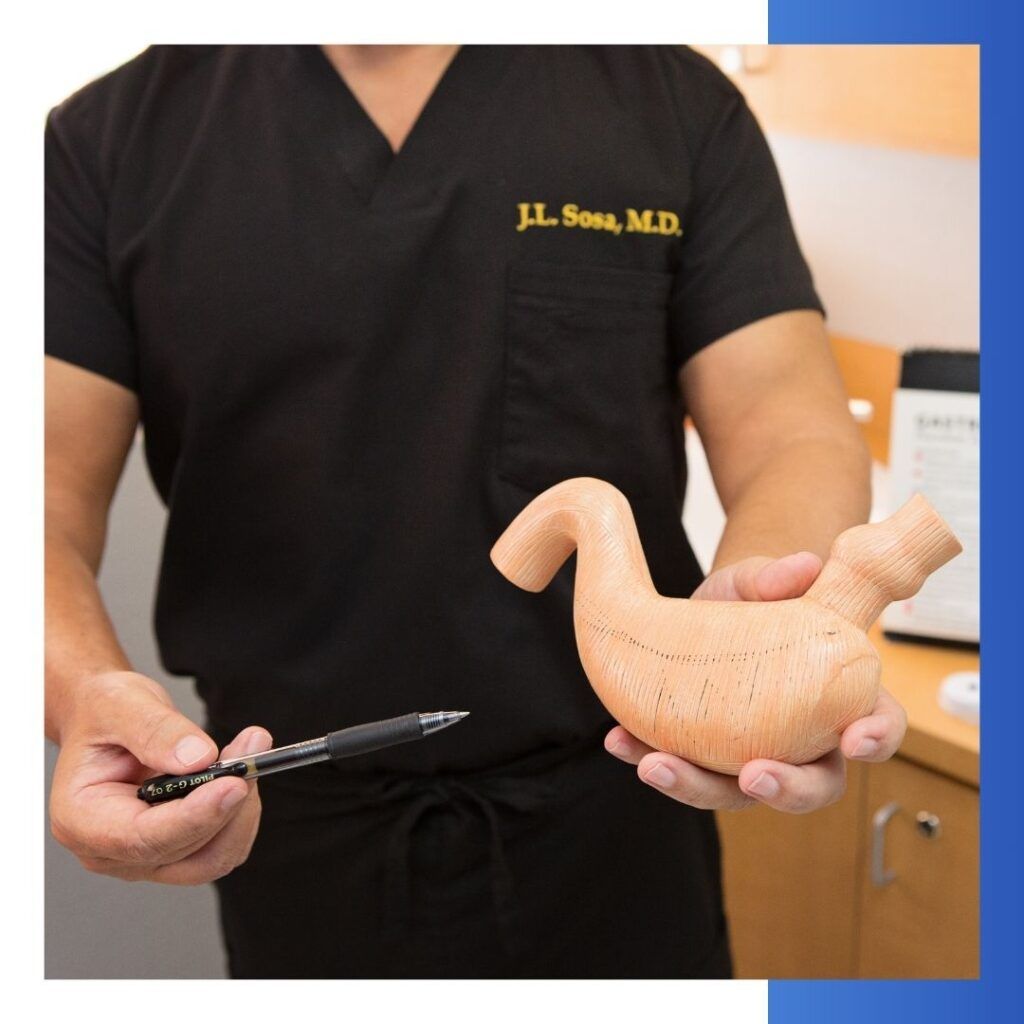 Dr. Sosa holding a model of a stomach