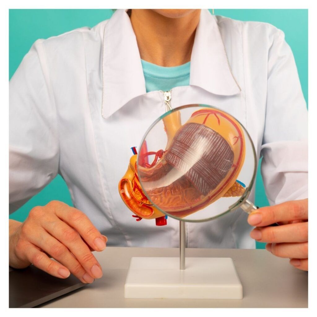 a doctor looking at a stomach in a magnifying glass